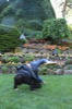 resIMG_20170709_204126_8176.JPG